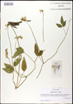 000031043-thumbnail.jpg