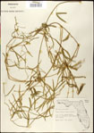 000031055-thumbnail.jpg