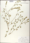 000031239-thumbnail.jpg