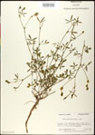 000031242-thumbnail.jpg