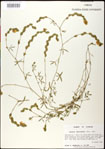 000031243-thumbnail.jpg