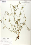 000031244-thumbnail.jpg