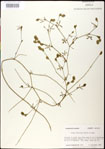 000031247-thumbnail.jpg