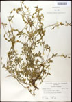 000031249-thumbnail.jpg