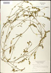 000031253-thumbnail.jpg