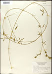 000031255-thumbnail.jpg