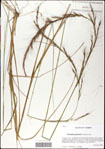 000036520-thumbnail.jpg