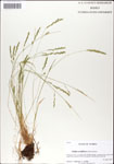 000044279-thumbnail.jpg