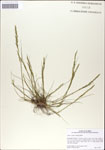 000044280-thumbnail.jpg