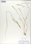 000044281-thumbnail.jpg