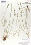 000044284-thumbnail.jpg