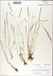 000044285-thumbnail.jpg