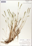 000044286-thumbnail.jpg