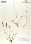 000044287-thumbnail.jpg