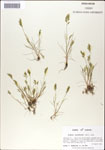 000044288-thumbnail.jpg