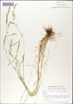 000044289-thumbnail.jpg