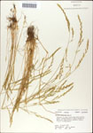 000044290-thumbnail.jpg
