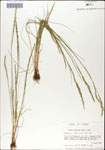 000044292-thumbnail.jpg