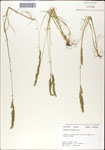 000044293-thumbnail.jpg