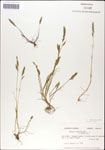 000044294-thumbnail.jpg