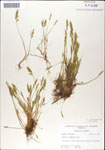 000044295-thumbnail.jpg