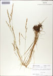 000044296-thumbnail.jpg