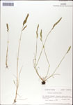 000044297-thumbnail.jpg
