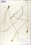 000044299-thumbnail.jpg