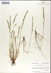 000044300-thumbnail.jpg
