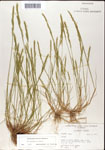 000044306-thumbnail.jpg
