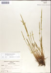 000044307-thumbnail.jpg