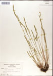 000044308-thumbnail.jpg