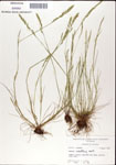 000044309-thumbnail.jpg