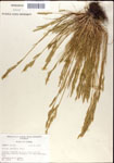000044310-thumbnail.jpg