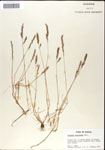 000044311-thumbnail.jpg