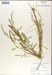 000044312-thumbnail.jpg