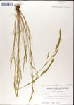 000044313-thumbnail.jpg