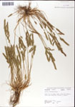 000044314-thumbnail.jpg