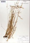 000044315-thumbnail.jpg