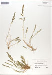 000044318-thumbnail.jpg