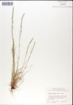 000044319-thumbnail.jpg