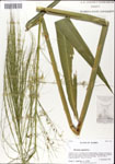 000044320-thumbnail.jpg