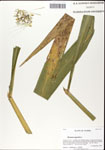 000044321-thumbnail.jpg