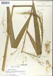 000044322-thumbnail.jpg