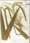 000044323-thumbnail.jpg