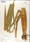 000044324-thumbnail.jpg