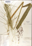 000044325-thumbnail.jpg