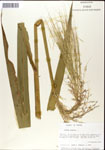 000044328-thumbnail.jpg
