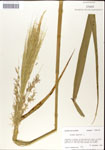 000044329-thumbnail.jpg