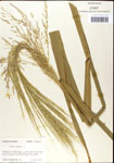 000044330-thumbnail.jpg